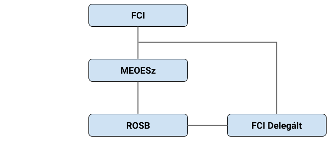 Szervezeti felépítés